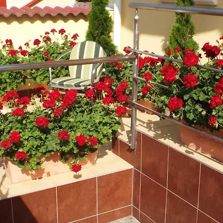 Ilona Apartman Appartamento *