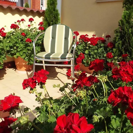 Daire Ilona Apartman *