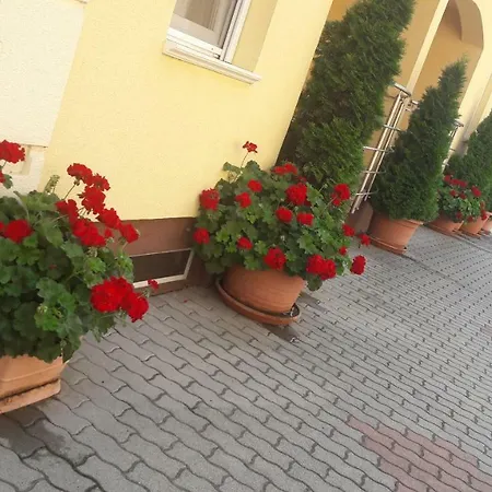 Apartment Ilona Apartman *